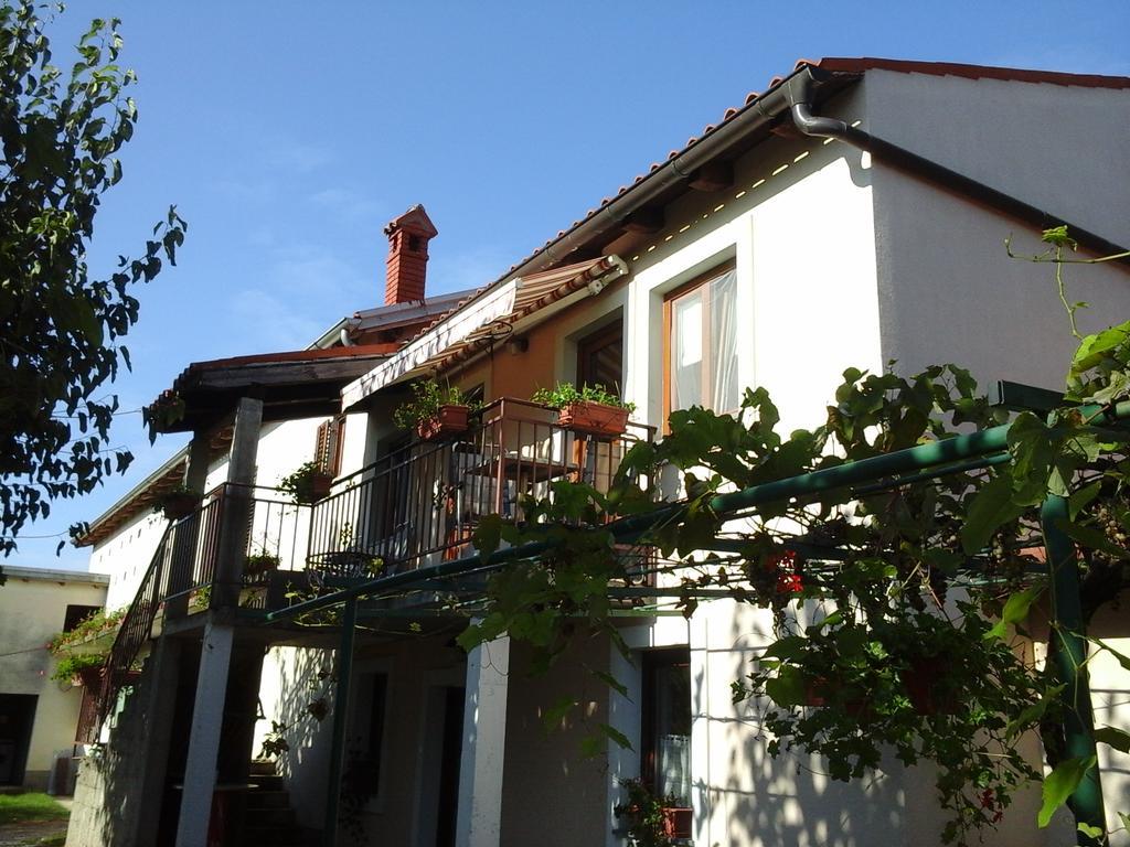 Kmetija Medljan Villa Izola Ngoại thất bức ảnh