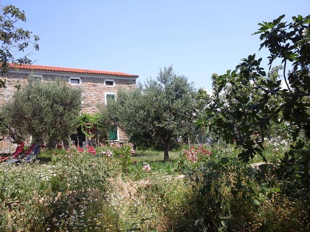 Kmetija Medljan Villa Izola Ngoại thất bức ảnh